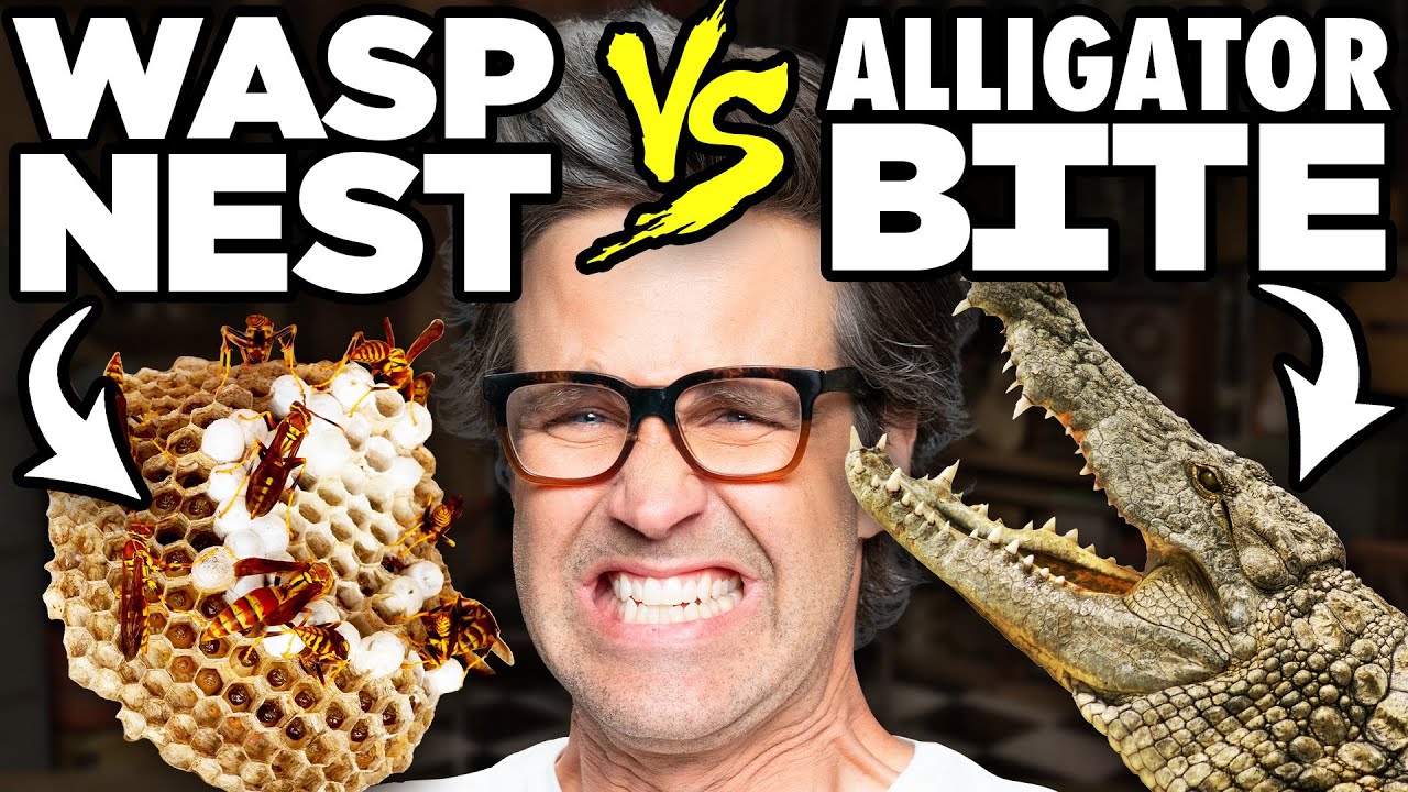 Which Crazy Stunt Would You Rather?