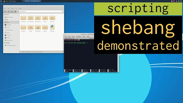 scripting shebang demonstrated