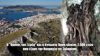 Ο "Θρόνος του Ξέρξη" και η άγνωστη Όρσα ηλικίας 2.500 ετών που έζησε την Ναυμαχία της Σαλαμίνας.