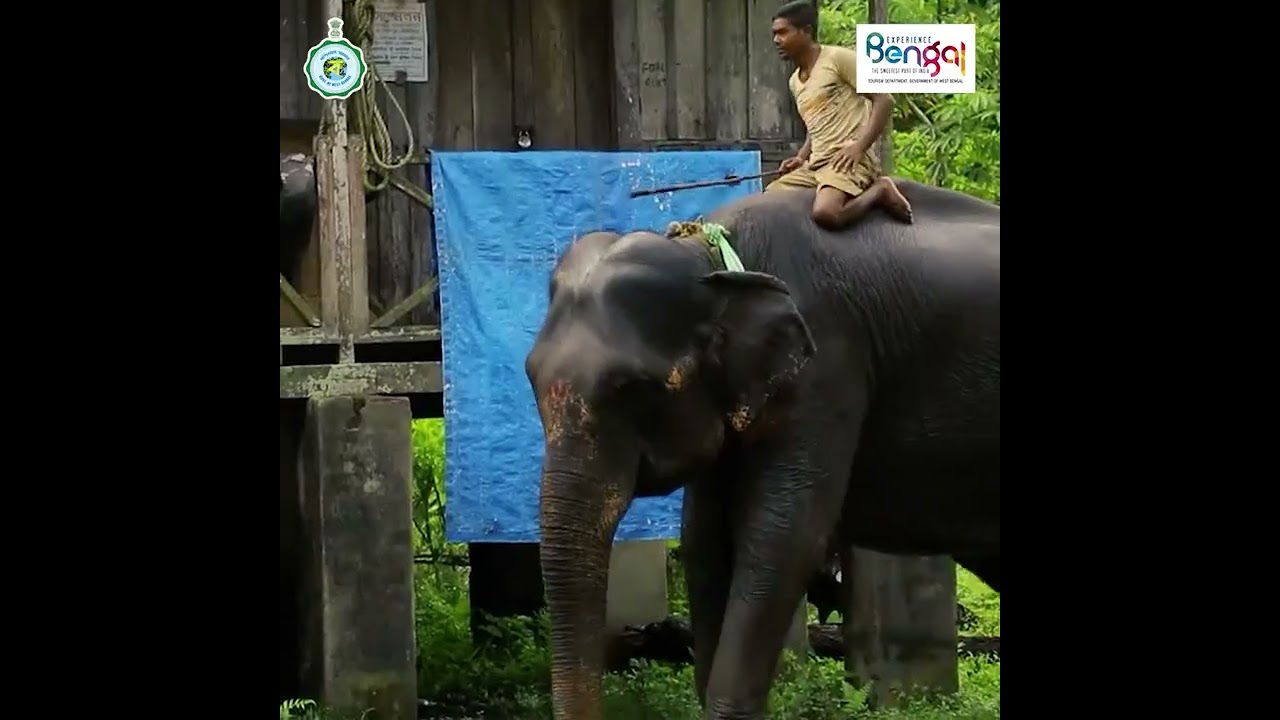 Jaldapara National Park