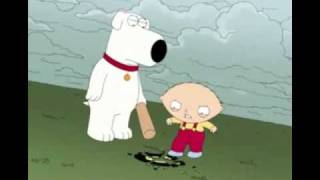 Stewie and Bryan Destroying Peters Surfin Bird Record