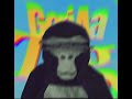  Gorilla tag funk