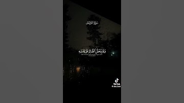 سورة الفرقان محمد اللحيدان #اهميه #اكسبلور #المصحف #الرحمن #راحة_نفسية #لايك #العلم #دويتو