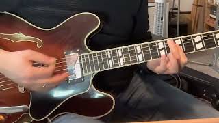 Veilige Schuilplaats - Victor van Riemsdijk - Electric guitar demo