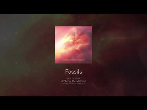 Fossils - Oliver Lugg