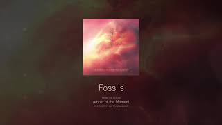 Fossils - Oliver Lugg