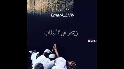 تلاوة هادئه..   تفيض جمالاً أرح بها نفسك وقلبك.
