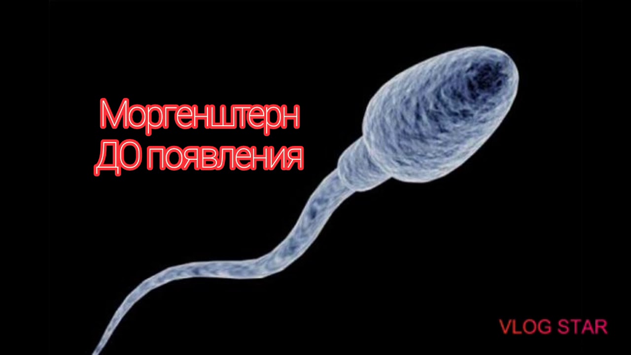 Моргенштерн мем. Моргенштерн мемы. Моргенштерн демотиваторы. Моргенштерн Эволюция. Моргенштерн жмых