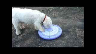 nina-ottosson-interactive-dog-toy-1.wmv screenshot 4