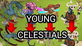 [YOUNG MAGICS CELESTIALS] Speed ART | TLL