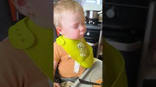 Cozy Toddler Sleeps While Chewing Food