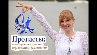 Биология| Простейшие. Особенности строения. Дыхание. Питание. Выделение. Размножение.