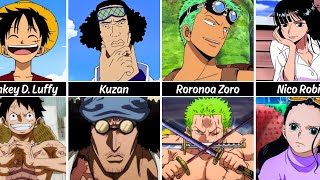 How One Piece Character Changed After Timeskip