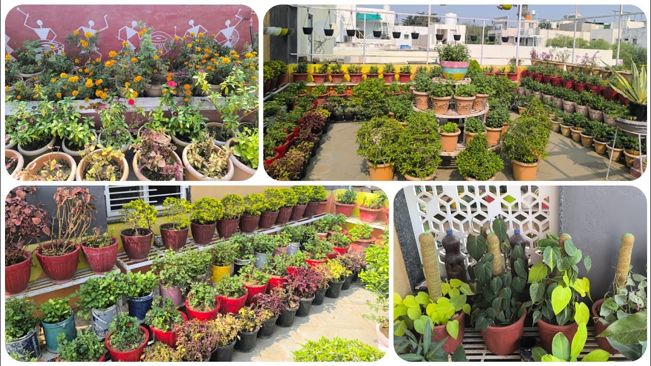 November Terrace Garden Overview 🏡🏵️