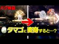 【タマゴバグ】レイドに『タマゴ』を出して『メタモン』に変身させると…【ポケモンSV 検証 】