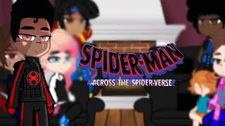the spider verse reacts || spider-man- across the spiderverse || pt 1