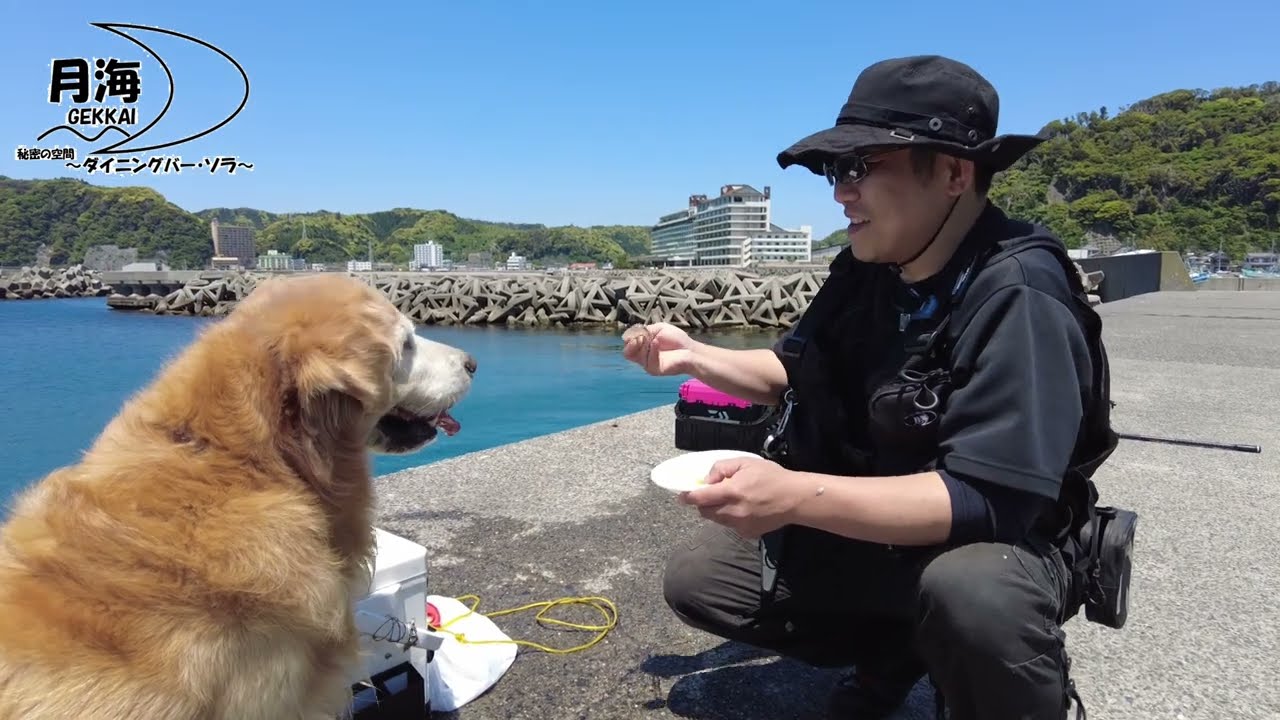 【日帰り旅行】千葉県鴨川市小湊へ。家族で1/ｆゆらぎを感じながら貴重な体験(笑) 【golden retriever japan】