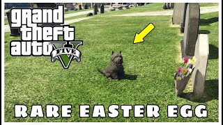 RARE DOG VISIT OWNER`S GRAVE EASTER EGG GTA 5 | Story Mod