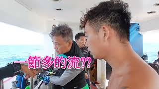 祕密花園(流星花園)/頂流潛水/強流請勿輕易嘗試。feat 王世堅成名曲:沒出息