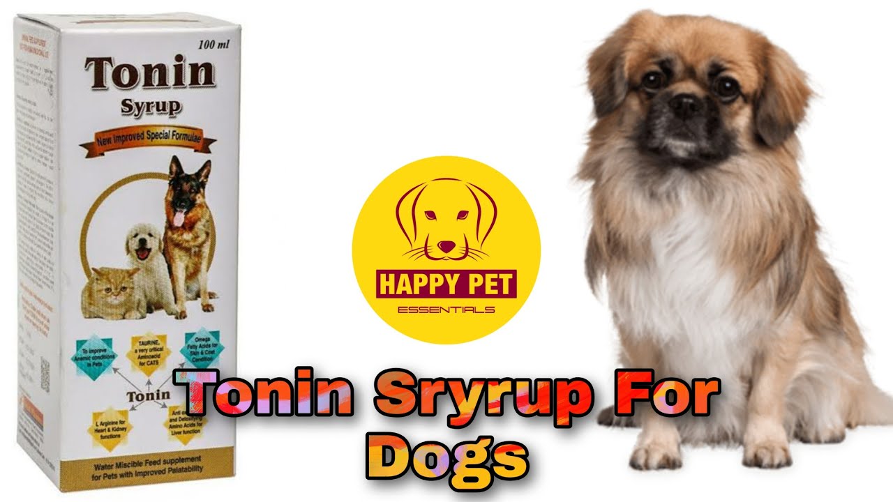 Best Vitamin supplement for Dogs Tonin Syrup For Dogs Happypet