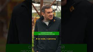 Самый крупный частный лесопитомник России – Юрьянский лесопитомник 🔥 #лес #питомник #деревья