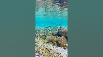 普段、水中の撮影や水を使うときに僕らが使っている防水ケースです！URLはコメント欄にあります😊#撮影方法 #iphone撮影 #rkphoto9 #防水ケース #PR