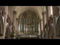Incepe seria concertelor de orga de la Biserica Neagra