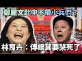 鄭麗文赴中訪問爭議