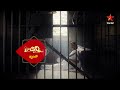 Chinni  promo  new serial  star maa serials  coming soon only on star maa