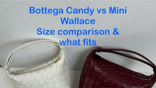 Watch before you buy! Bottega Candy Vs Mini Wallace - size comparison & what fits