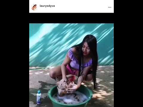 LaurysDyva bañando a su gallina