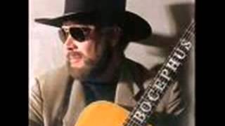 Hank Williams Jr;  Country State Of Mind