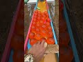 Marble Run ☆ Go to Colorful Town ♪②