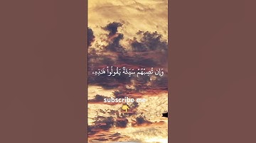سوره القران جميل 🥀#quran #viralvideo #share #support #subscribe  #لايك #المصحف #دويتو #الرحمن