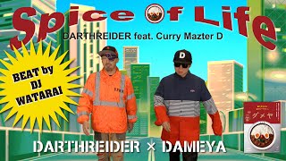 Spice of Life/Darthreider feat. Curry Mazter D