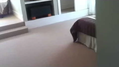 Thomas-Fitch home bedrooms