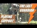 The Last Guardian - Playing Support