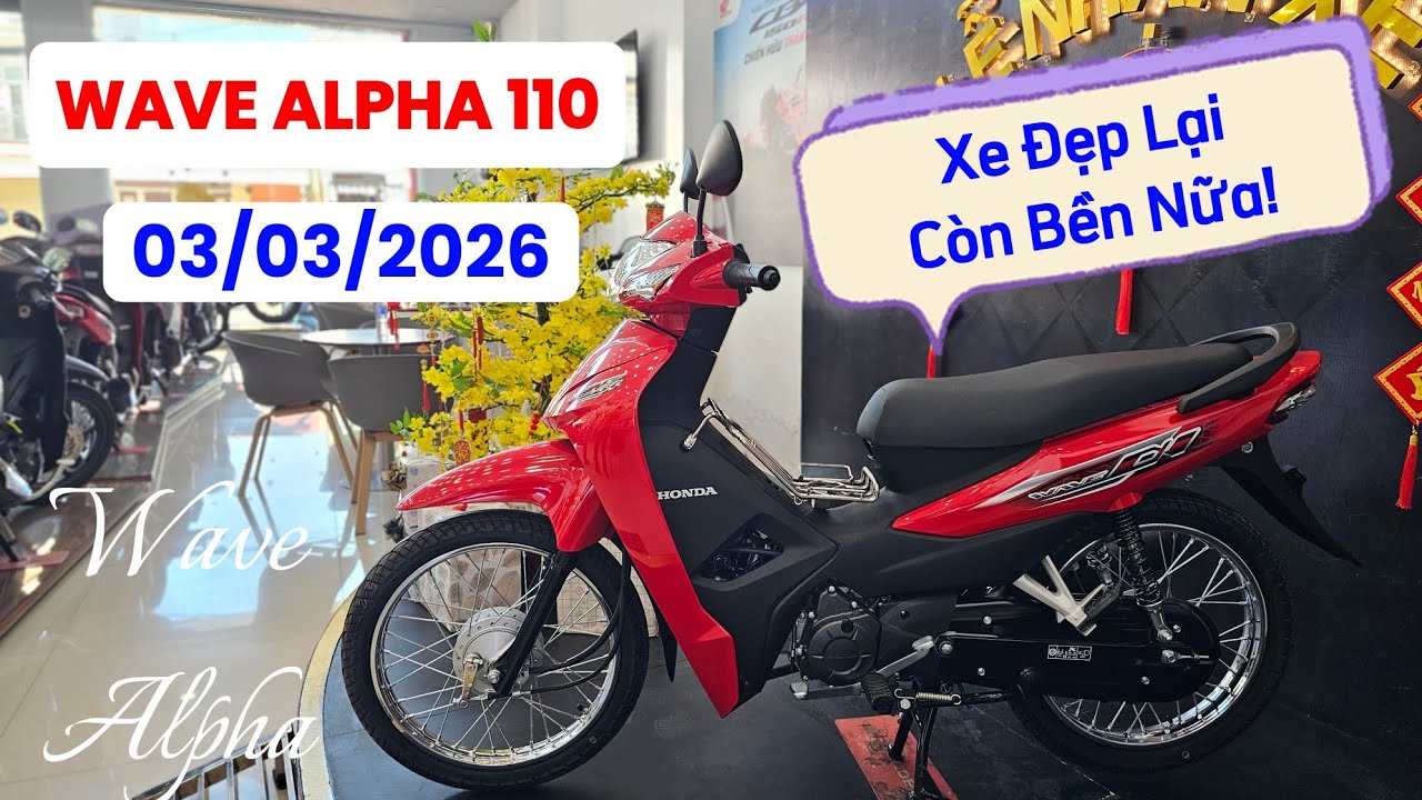 Báo giá Honda WAVE ALPHA 110 mới nhất ngày 03/03/26 tại head Huỳnh Bạch Tùng. Thái Phạm #wave #110 