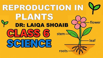 Reproduction in Plants | Class 6 Science Chapter 2 | AFAQ Series | Full Explanation in Urdu/Hindi