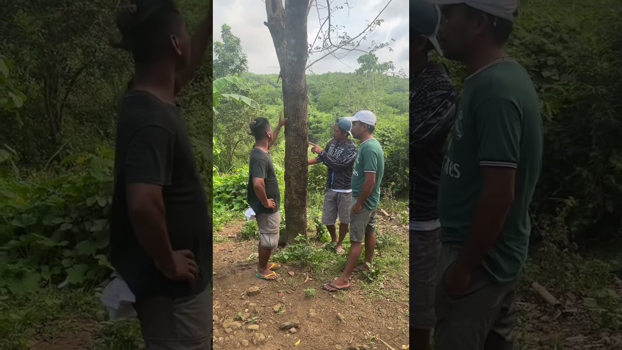 Minaliit mo kasi mga alaga nila yan tuloy😂