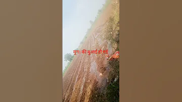 8 2 2025 Mung Ki Buvai Ho Gyi 
