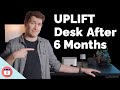 Uplift standing desk review  6 months later