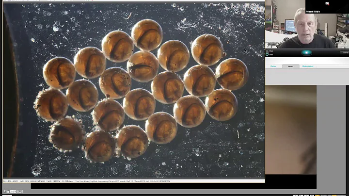 Macro with Robert Riddle
