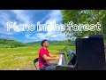森の中で素敵なストリートピアノに出会った【川の流れの様に】Street Piano in the forest🎹