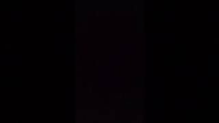 IMG 1056 1