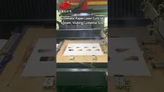 Customer Site Tour: High-Efficiency Automatic Laser Cutting System for Industrial Paper Products