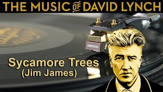 The Music of David Lynch - Sycamore Trees (Jim James) - Black Vinyl LP