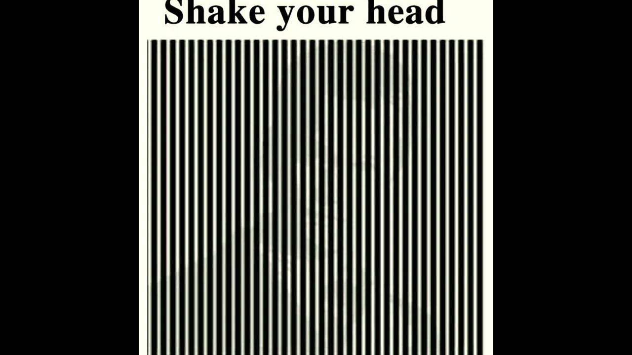 Shake your head optical illusion image youtube