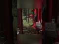 Inside the Cab Operating a Giant Tree Saw #farmingsimulator #fs25 #farming #gaming #oporowo