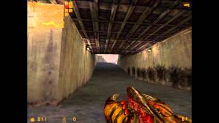 Half-Life Ep:19 Hivehand